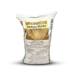 MICORRIZAS HONGOS DEL SUELO 