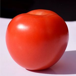 SEMILLA TOMATE CHONTO ROBLE
