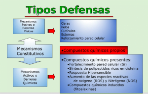 Tipos de Elicitores