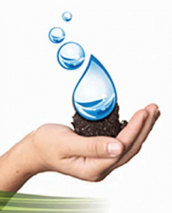 Sembremos agua, hidroretenedores para agricultura