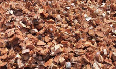 subproductos coco chip 