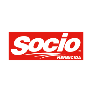 Picloran + Metsulfuron Socio