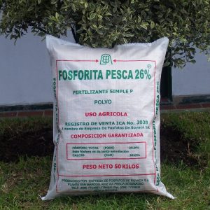 Roca fosforica fosforita pesca