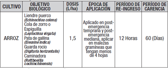 http://cronos/Isolucion/bancoconocimiento/P/PRODUCTOTERMINADOTRINCHERA180EC-INVESA__v5/trincera0.png