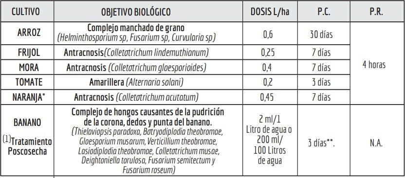 http://cronos/IsolucionCalidad/BancoConocimientoInvesa/2/2d9094fff537498d9855874f38c2c1b1/Chakal_1.png