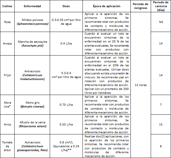 http://cronos/IsolucionCalidad/BancoConocimientoInvesa/6/6c994c2694f74e99833518ae3cde92cf/beli01.png