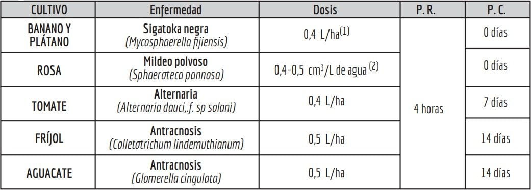 http://cronos/IsolucionCalidad/BancoConocimientoInvesa/2/29b246776c8e405fbc3e387e7cfc0fa5/kurdo2019_1.png