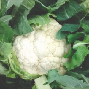 Coliflor victoria