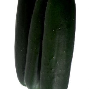 pepino matías