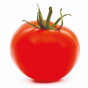 TOMATE CORONA F1