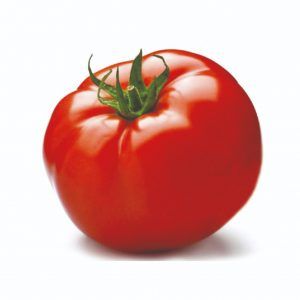 Tomate lancero