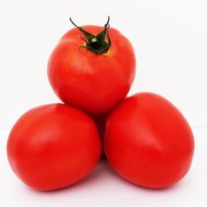 Tomate norty f1