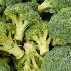 BRÓCOLI VARIEDAD ITÁLICA