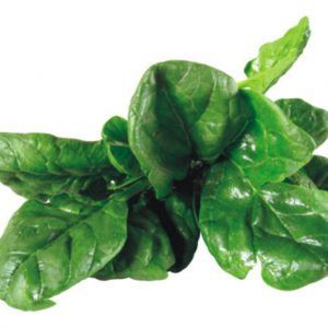 Espinaca viroflay