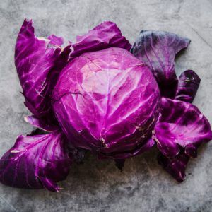 REPOLLO MORADO