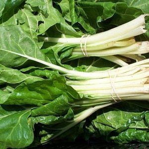 ACELGA SWISS CHARD