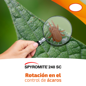 INSECTICIDA SPYROMITE 240 SC SPIRODICLOFEN