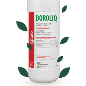 FERTILIZANTE FOLIAR BOROLIQ