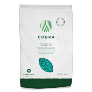 BRACHIARIA HIBRIDO COBRA