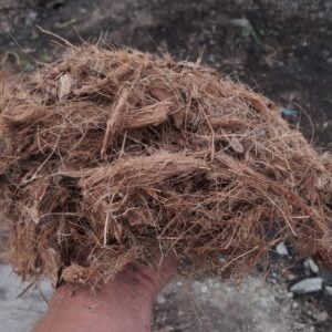 Fibra de coco