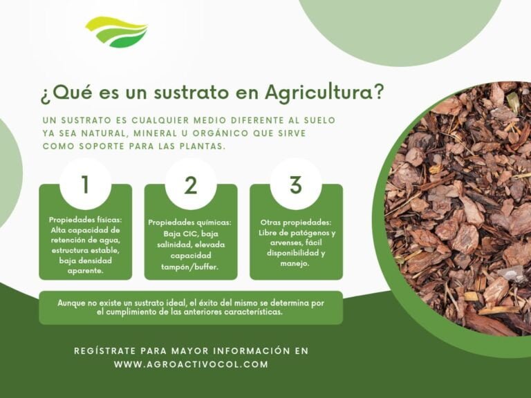 Tipos de sustratos para las plantas