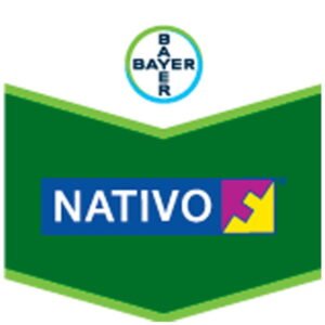 FUNGICIDA TEBUCONAZOLE + TRIFLOXYSTROBIN NATIVO SC 300