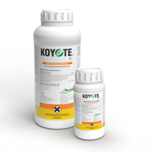 INSECTICIDA LANDACIALOTRINA KOYOTE EC