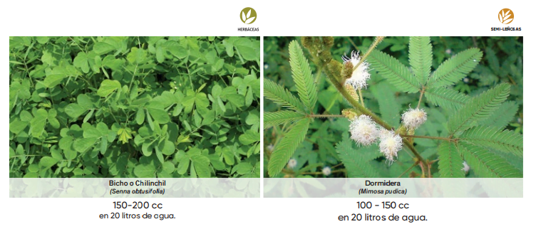 HERBICIDA TRONADOR D