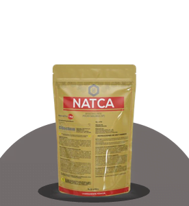 REGULADOR DE CRECIMIENTO FOLSISTEINA NATCA