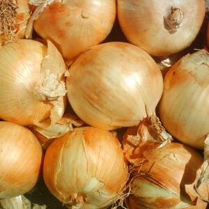CEBOLLA YELLOW GRANO