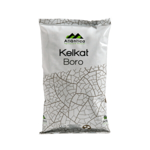 KELKAT BORO