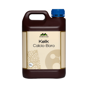 KELIK CALCIO-BORO