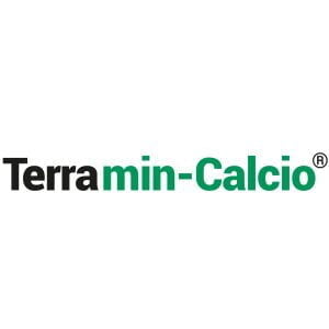 BIOESTIMULANTE TERRAMIN CALCIO