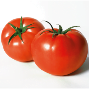 TOMATE MAGNO F1