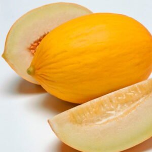 MELÓN DURASOL F1