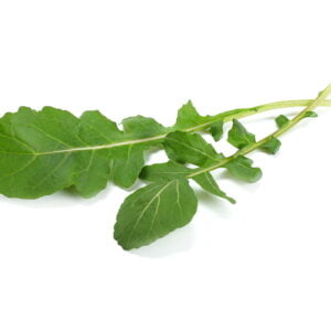 SEMILLA RÚGULA ROQUETTE
