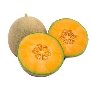 SEMILLA MELON SALVADOR F1