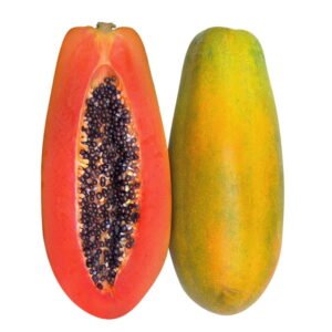SEMILLA PAPAYA PAULINA F1