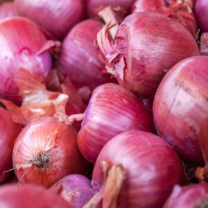 SEMILLA CEBOLLA PANTERA ROSA F1