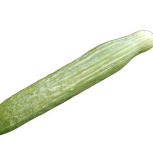 SEMILLA PEPINO FLANDERS F1