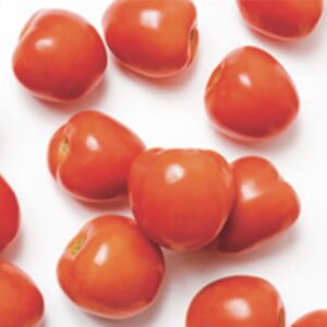 SEMILLA TOMATE BICENTENARIO F1