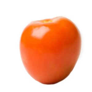 SEMILLA TOMATE GEM 604 F1
