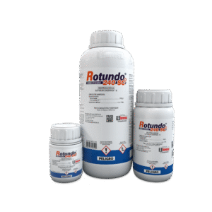 INSECTICIDA ROTUNDO 240 SC